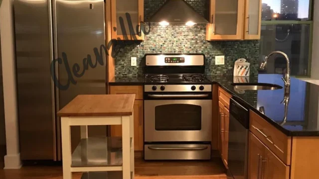 Cleanzilla NYC Cleaning Service