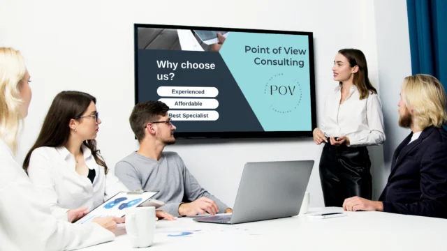 Point Of View Consulting