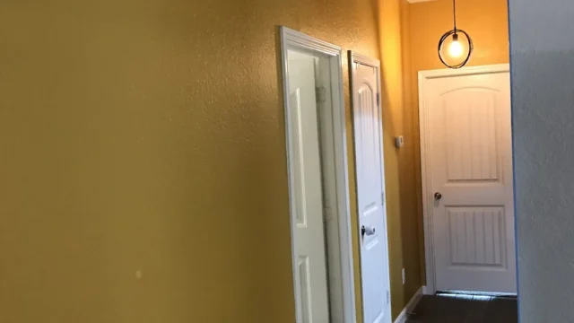 PRO PAINTERS OF TEXAS COMMERCIAL