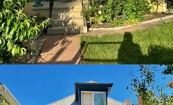 Rollin Pros Painting LLC