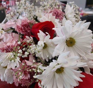 Ace Flowers