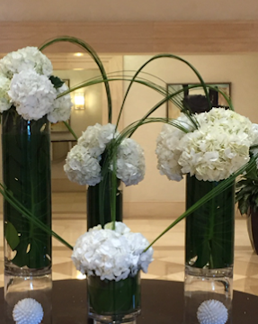 Aventura Florist