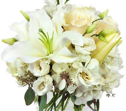 Brickell Exclusive Blooms
