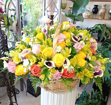 Cerezos Flowers
