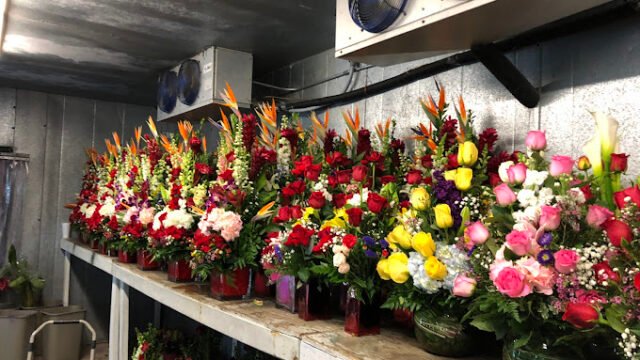 Fannin Flowers