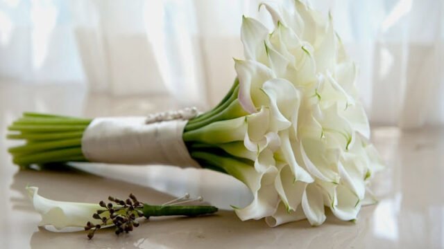 Florana Flowers