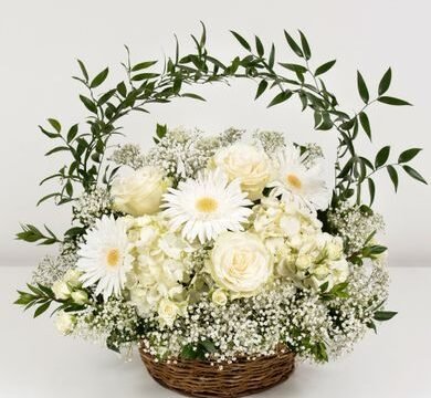 Flower City & Events