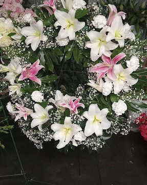 Flowers by Nino