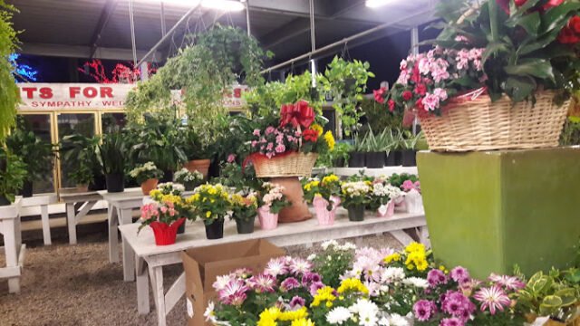 Holiday Flowers & Gifts