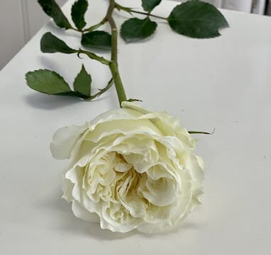 Mary Lou’s Florist