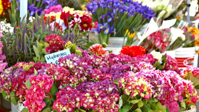 Miami Beach Flowers®