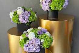 Nila’s Flowers