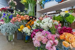 Plants N’ Petals