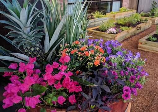 Thriving Botanicals