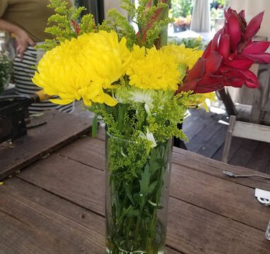 Zoom Bloomz