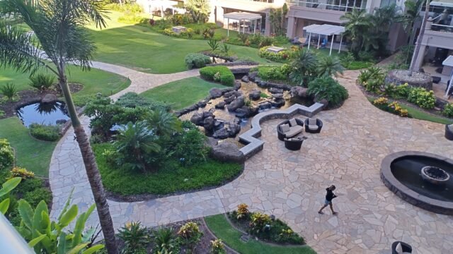 IMG_20250919_080808_MP-scaled-1