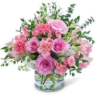 ee2vcgt9fakgq64su9sq