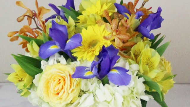 o7kzusksldzgo20nvswp