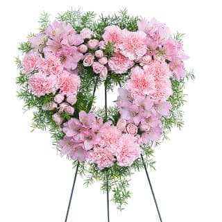 rjm8vcao1ueviqcfvuae