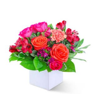 rwvhlilvirampbdwycsj