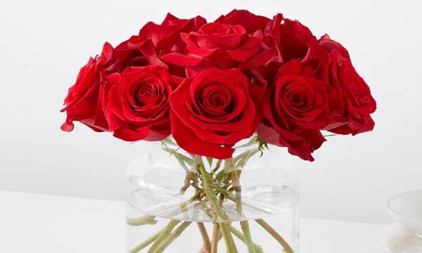 torxvmniwzk2rdfytati