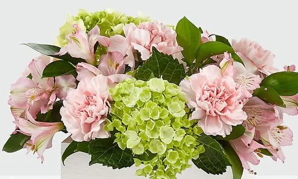 yddercg5mgfufzpgchq1