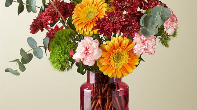 yjt32ej4efz4hdwcjmqm