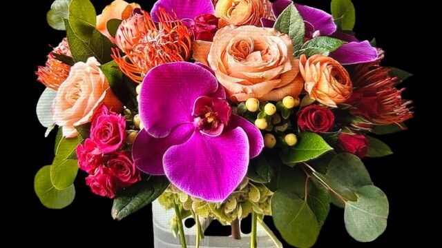 dyelch1lyy6gu1vtmdmc