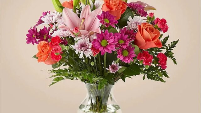 fjqtdnlzfoctzvm3ehqb