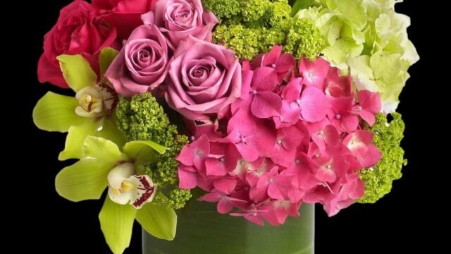 mhrxl00pbj4tyxqdfgrq