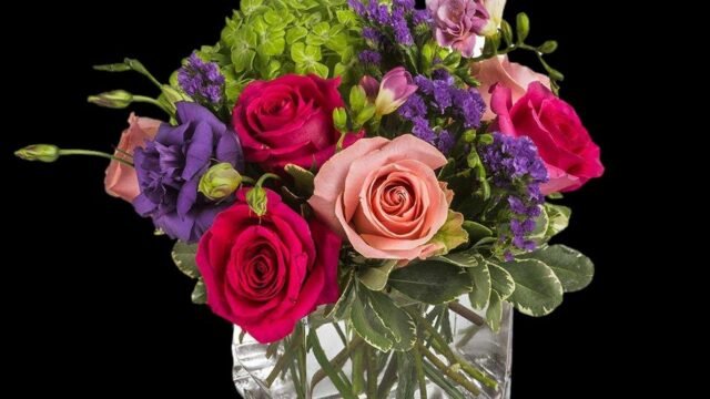 n69kfhcefsgldft5jfdx