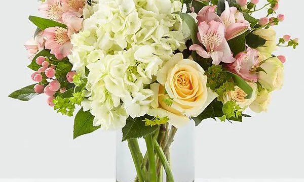 rtfn2rsm66xgx0s5iohe