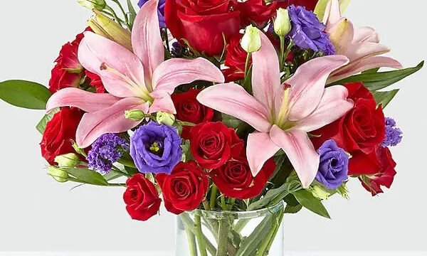 vritygy2wvocwns9hg8u