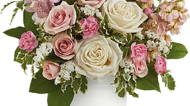 ybejfoxzm4bqvs2p0ojg