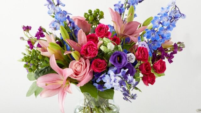 ymptcwh1k1fvf9ujnqsy